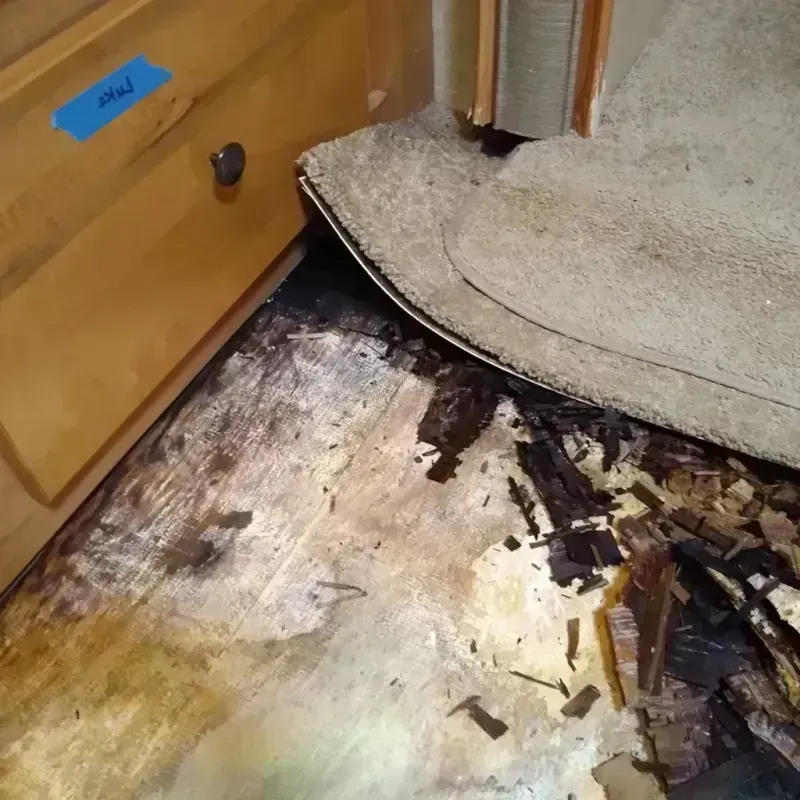 Best Wood Floor Water Damage Service in Pleasant Ridge, MI